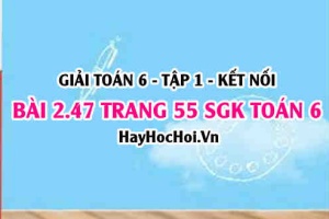 Giải bài 2.47 trang 55 Toán 6 Tập 1 SGK Kết nối tri thức